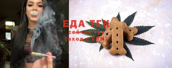 молекула духа Бежецк