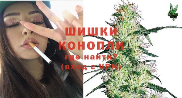 молекула духа Новокубанск